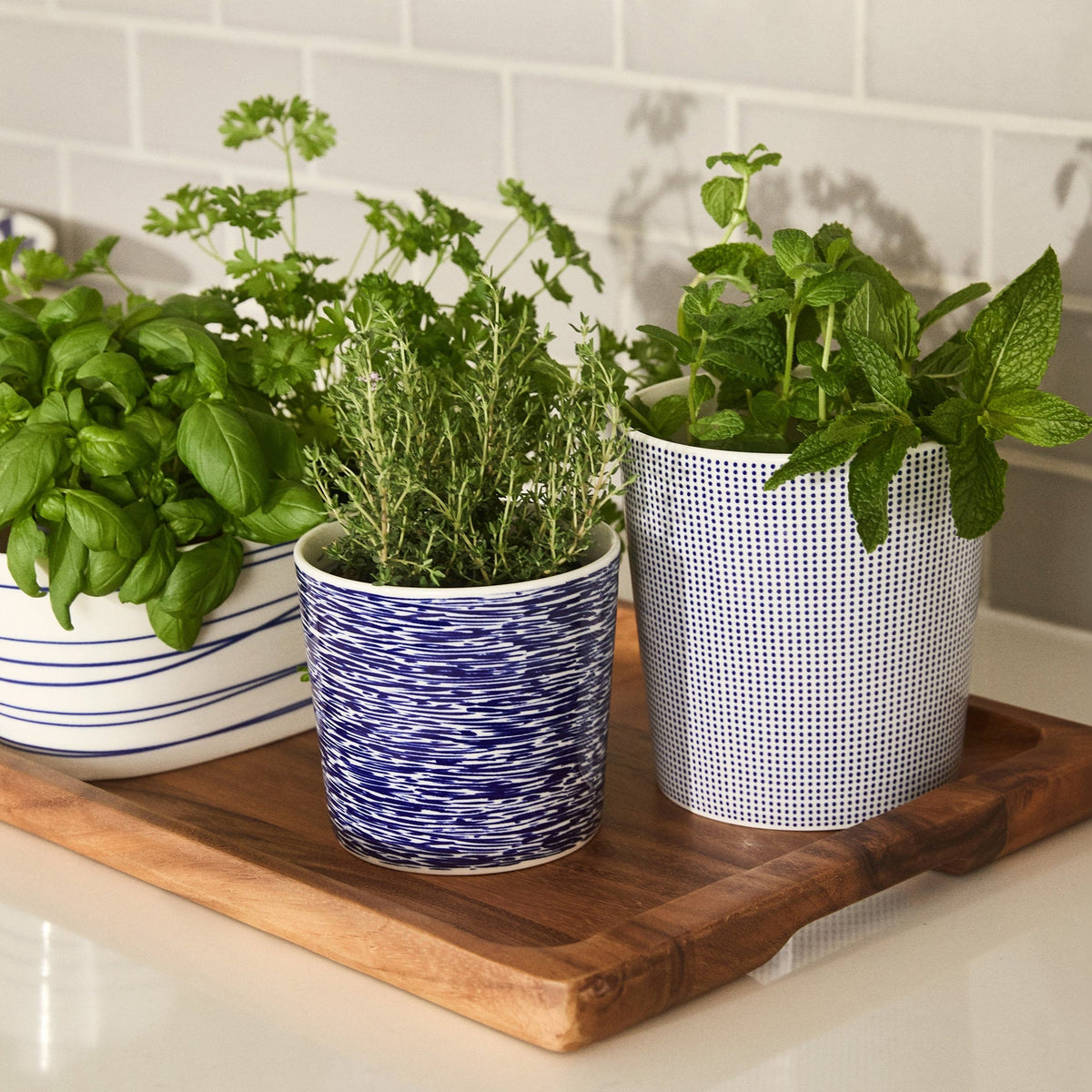 1815 Pacific Large Planter