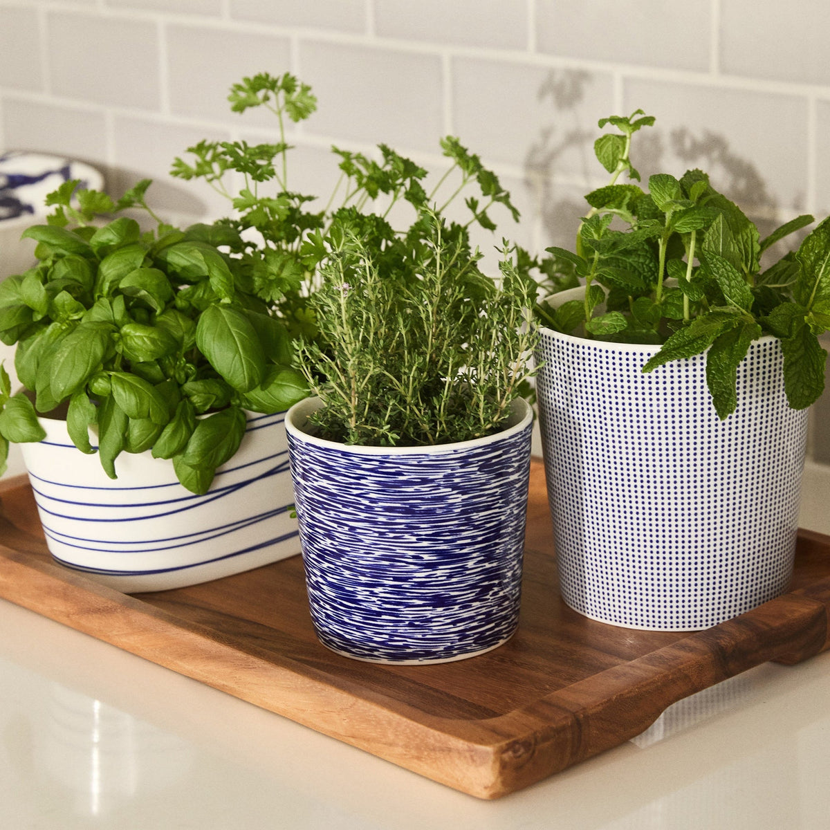 1815 Pacific Small Planter