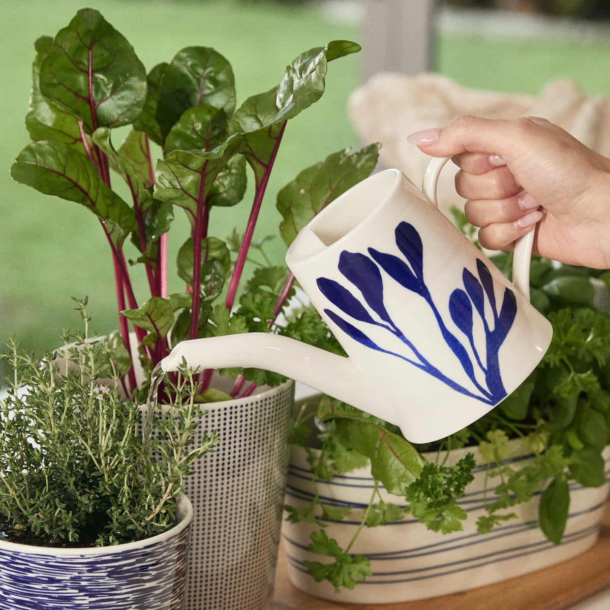1815 Pacific Watering Can