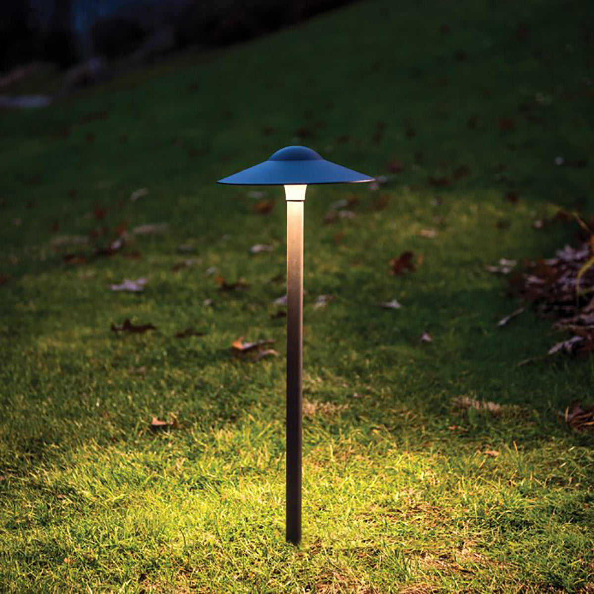 12V Outdoor Canopy Path Light